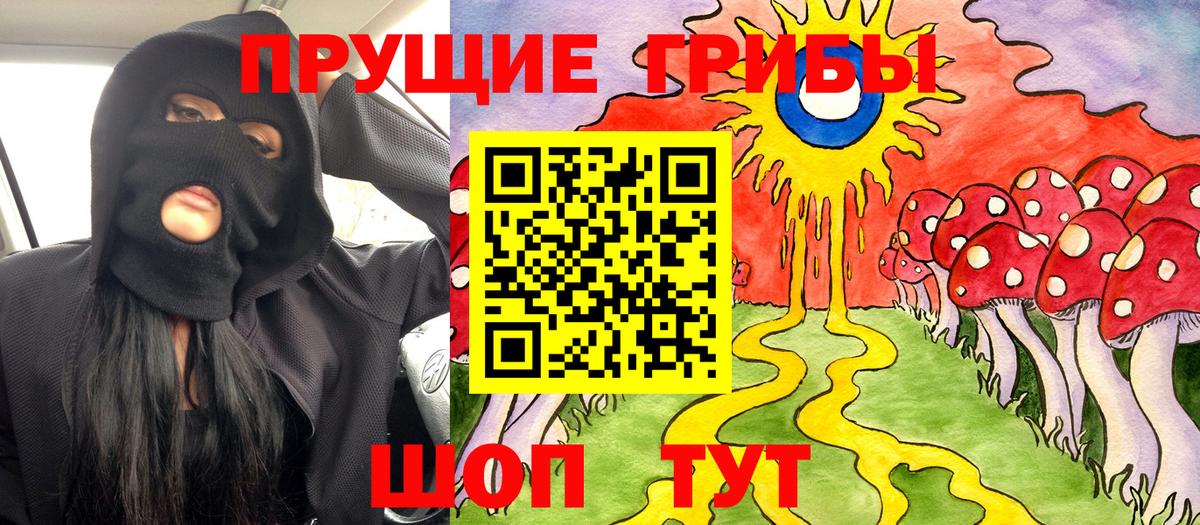 Псилоцибиновые грибы Psilocybe Астрахань