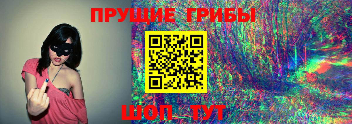 сколько стоит  Галлюциногенные грибы GOLDEN TEACHER  Астрахань  Вход с VPN  Псилоцибиновые грибы GOLDEN TEACHER 
